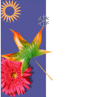 Flowers, Leaves and some other stuff